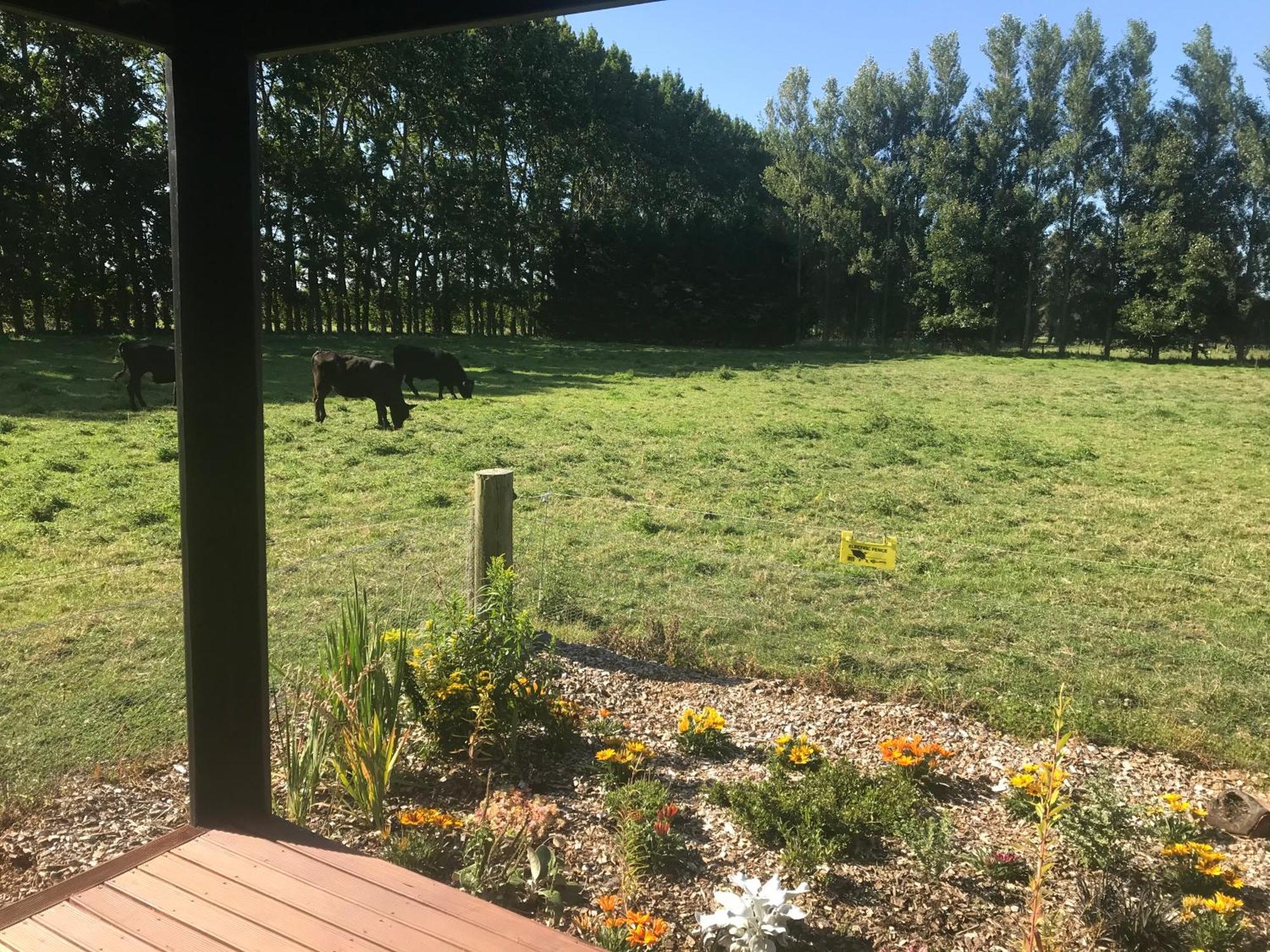 Brookside Country Escape 40 Minutes To Chc Airport Hotel Leeston Eksteriør billede